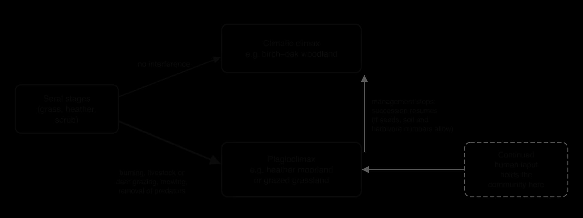 Flow diagram: seral stages lead to a climatic climax (e.g. birch–oak woodland) without interference, or, through burning, grazing, mowing or removing predators, to a plagioclimax (e.g. heather moorland) held by continued human input; if management stops, succession resumes.