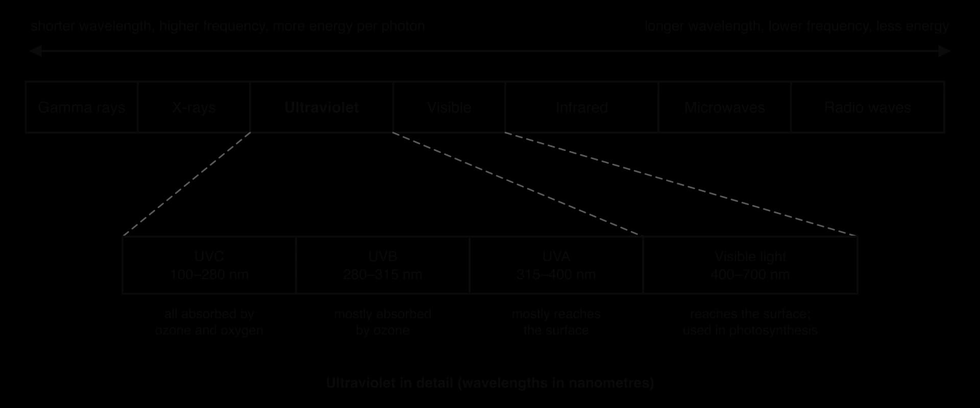 The electromagnetic spectrum from gamma rays to radio waves, shorter wavelengths carrying more energy. Ultraviolet is expanded into UVC (100–280 nm, all absorbed), UVB (280–315 nm, mostly absorbed by ozone) and UVA (315–400 nm, mostly reaches the surface), next to visible light (400–700 nm).