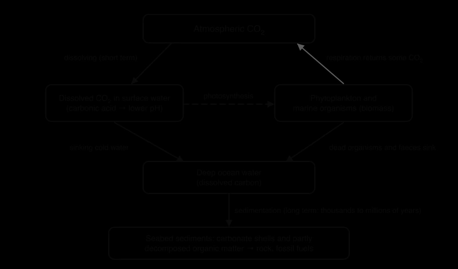 Ocean carbon sink diagram: atmospheric CO2 dissolves in surface water (lowering pH); phytoplankton fix it by photosynthesis; sinking water and dead organisms carry carbon to the deep ocean and then to seabed sediments.