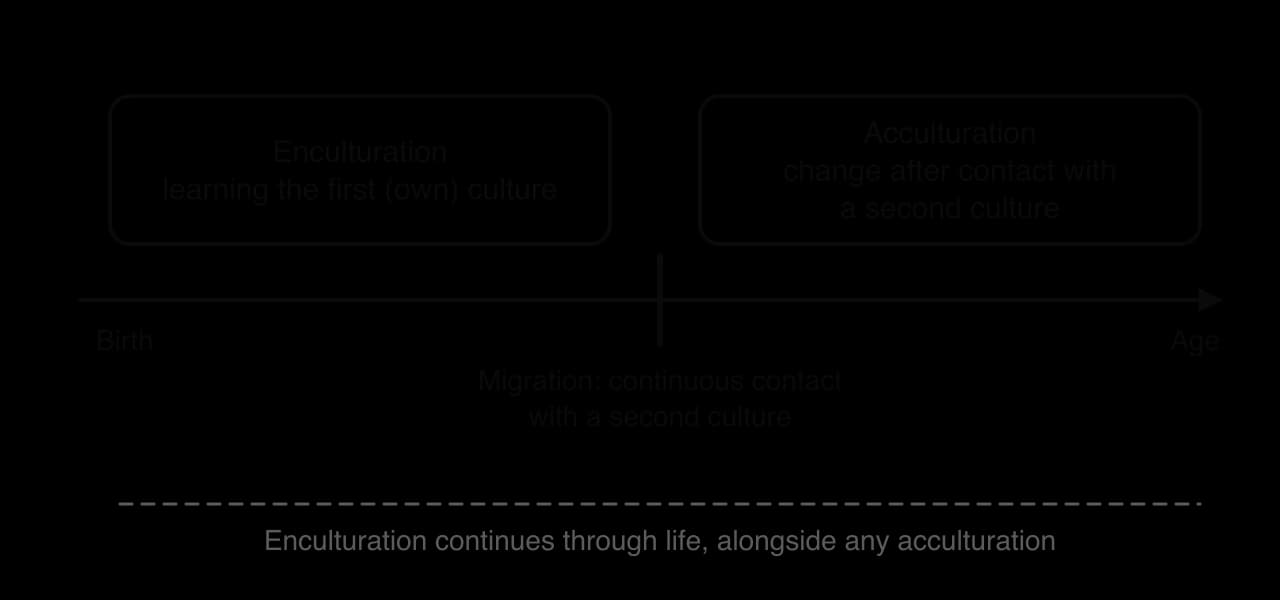 Timeline from birth: enculturation into the first culture comes first; at migration, continuous contact with a second culture starts acculturation; a dashed line notes enculturation continues through life.