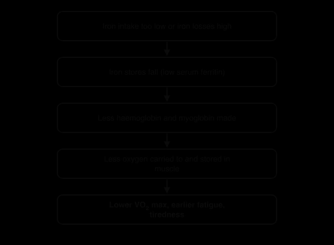 Flow chart: iron intake too low or losses high; iron stores fall (low serum ferritin); less haemoglobin and myoglobin made; less oxygen carried to and stored in muscle; lower VO2 max, earlier fatigue, tiredness.