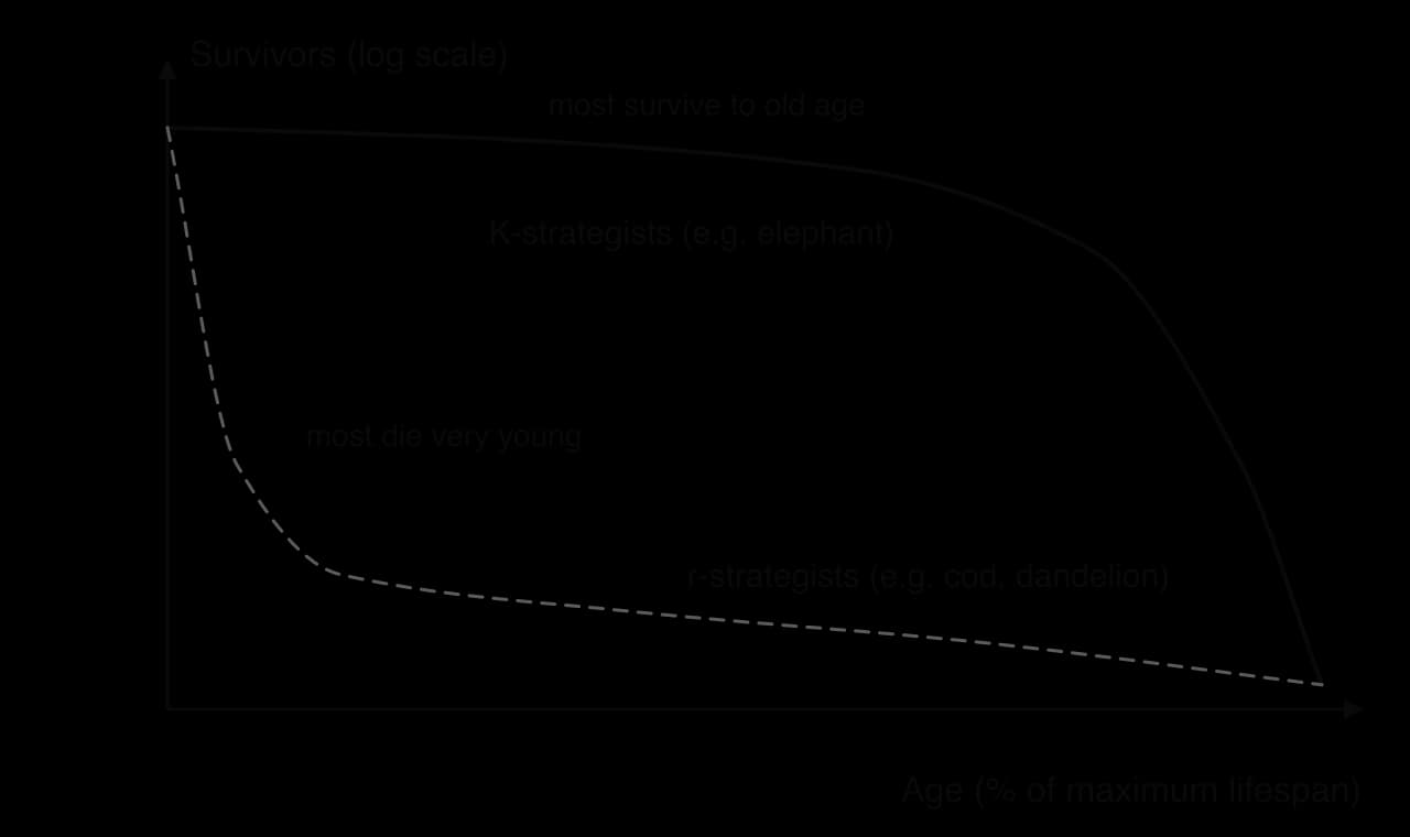 Survivorship curves on a log scale against age: K-strategists such as elephants keep most individuals alive until old age then fall steeply; r-strategists such as cod and dandelions lose most individuals very young.