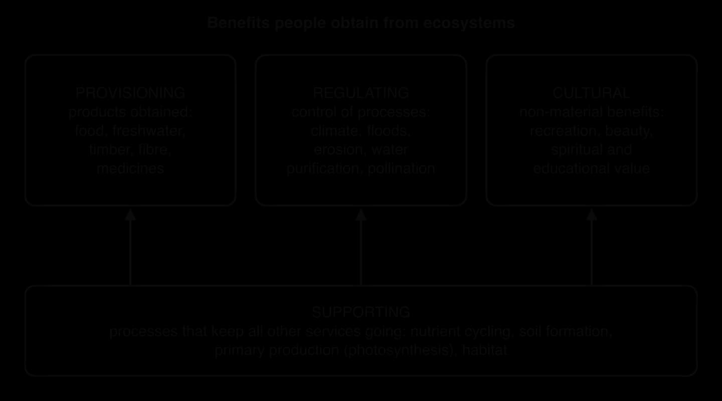Four categories of ecosystem services: provisioning (food, freshwater, timber, medicines), regulating (climate, floods, erosion, water purification, pollination), cultural (recreation, beauty, spirituality), resting on supporting services (nutrient cycling, soil formation, primary production).