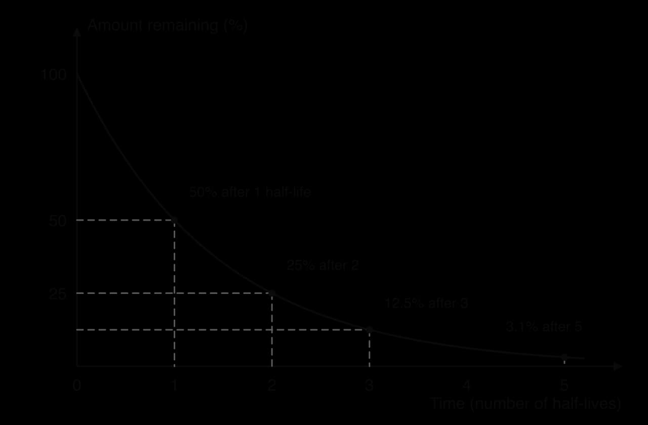 Exponential decay curve of amount remaining (%) against time in half-lives: 100% at 0, 50% after one half-life, 25% after two, 12.5% after three and 3.1% after five, approaching but never reaching zero.