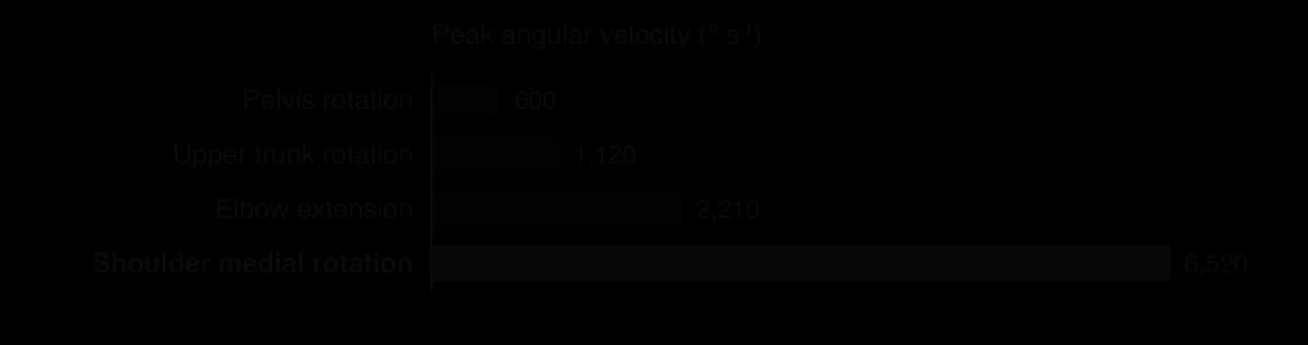 Horizontal bar chart of peak angular velocities in a fastball pitch by collegiate pitchers: pelvis rotation 600, upper trunk rotation 1,120, elbow extension 2,210 and shoulder medial rotation 6,520 degrees per second.