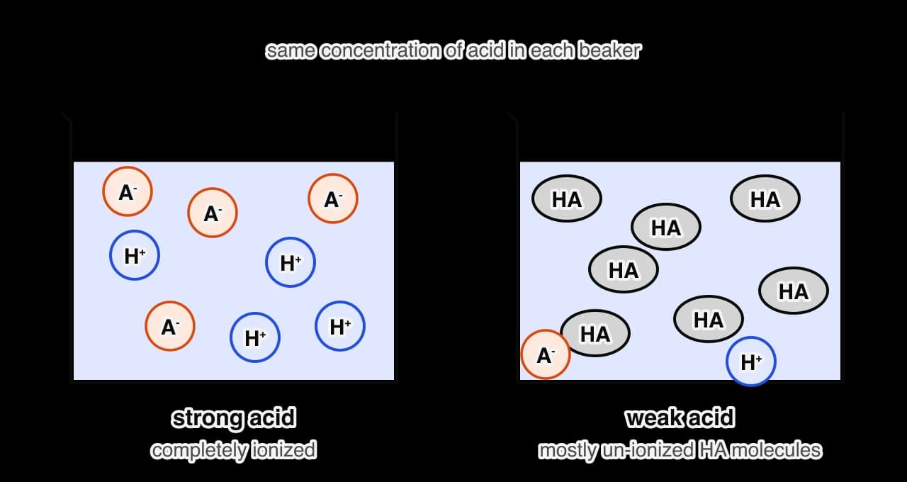 Two beakers of acid HA at the same concentration. Left, strong acid: only separate H+ ions (blue) and A− ions (orange), no HA molecules. Right, weak acid: seven grey HA molecules and only one H+ and one A− ion. Water molecules are not shown.