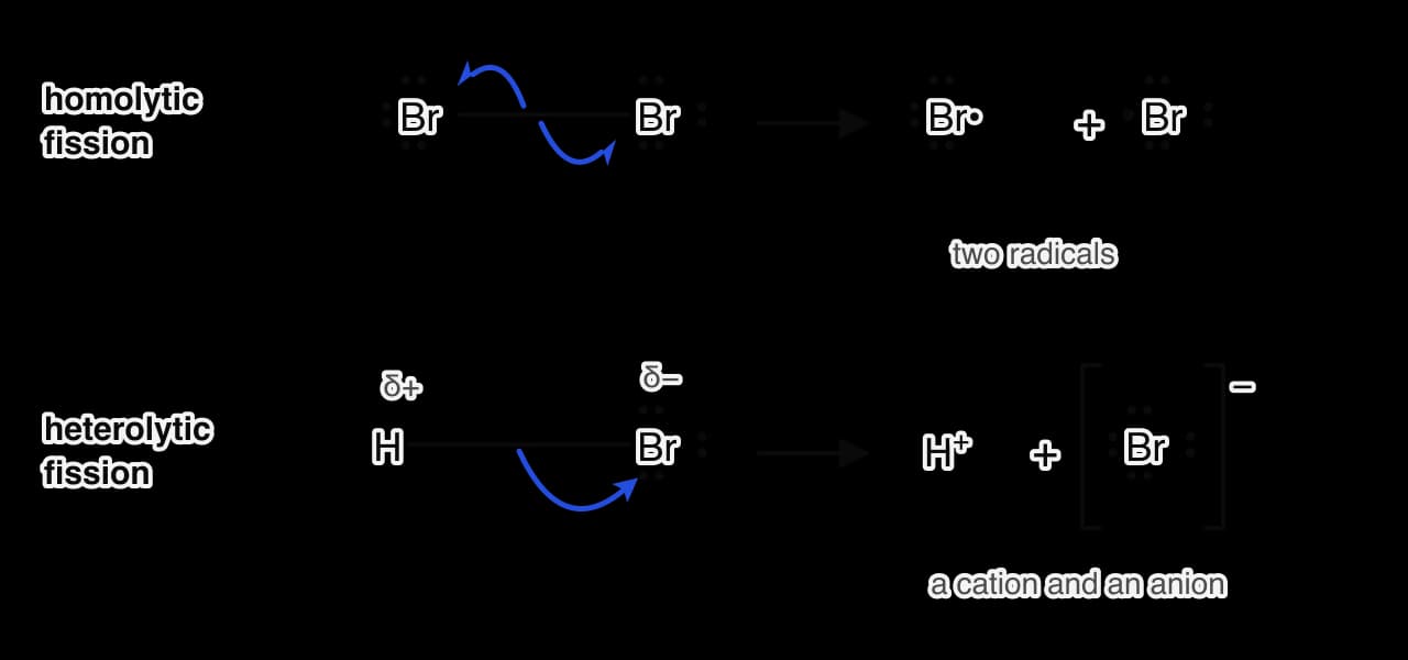 Top: homolytic fission of Br–Br; two fish-hook arrows from the bond, one to each bromine, give two bromine atoms each with a single electron.