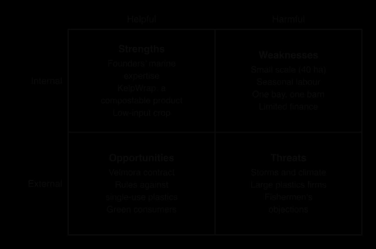 SWOT grid for the fictional Harbourline Kelp. Strengths: marine expertise, KelpWrap, low-input crop. Weaknesses: small scale, seasonal labour, one bay and one barn, limited finance. Opportunities: Velmora contract, plastics rules, green consumers. Threats: storms, plastics firms, fishermen.