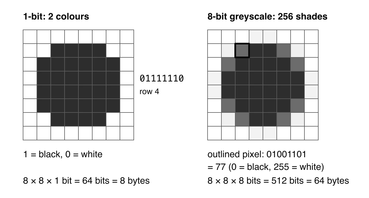 The same 8 by 8 disc stored two ways. At 1 bit per pixel each pixel is black (1) or white (0); row 4 is 01111110; 64 bits = 8 bytes. In 8-bit greyscale edge pixels are grey; one is 01001101 = 77; 512 bits = 64 bytes.