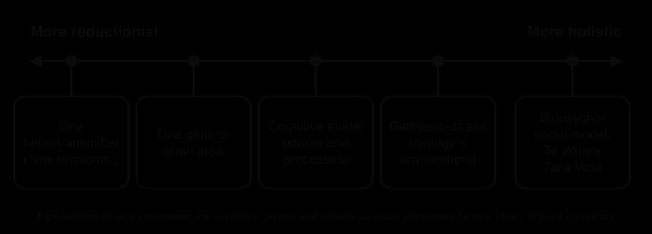 A line from more reductionist to more holistic with five explanations in order: one neurotransmitter (low serotonin), one gene or brain area, a cognitive model, the diathesis-stress model, and the biopsychosocial model and Te Whare Tapa Whā.