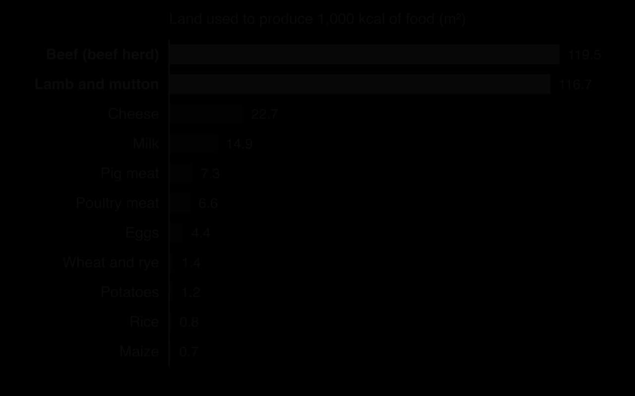Bar chart of land used per 1,000 kcal of food: beef from beef herds 119.5 m², lamb and mutton 116.7, cheese 22.7, milk 14.9, pig meat 7.3, poultry 6.6, eggs 4.4, wheat and rye 1.4, potatoes 1.2, rice 0.8, maize 0.7.