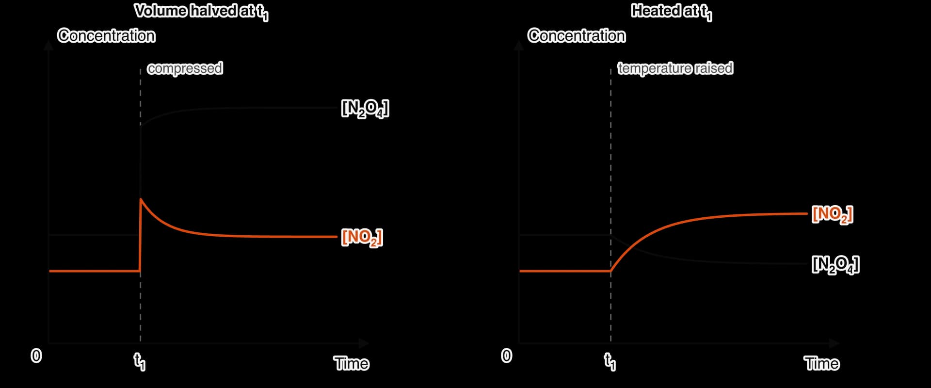 Two concentration–time sketches for N2O4 ⇌ 2NO2. Left: the volume is halved at t1, both concentrations jump to double, then [NO2] falls and [N2O4] rises. Right: the mixture is heated at t1; there is no jump; [NO2] rises gradually and [N2O4] falls.
