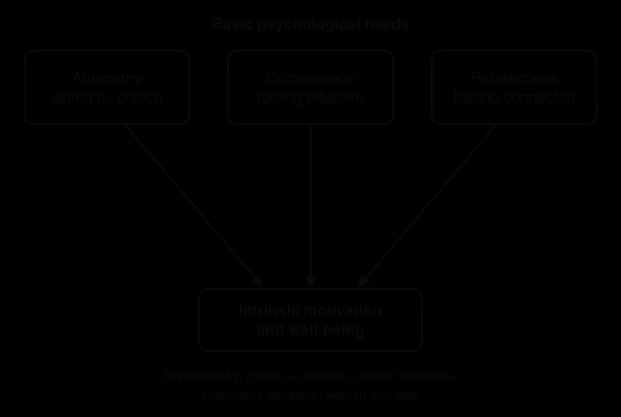 Autonomy (acting by choice), competence (feeling effective) and relatedness (feeling connected) each point to intrinsic motivation and well-being; supported by choice, a rationale, optimal challenge, informative feedback, warmth and care.