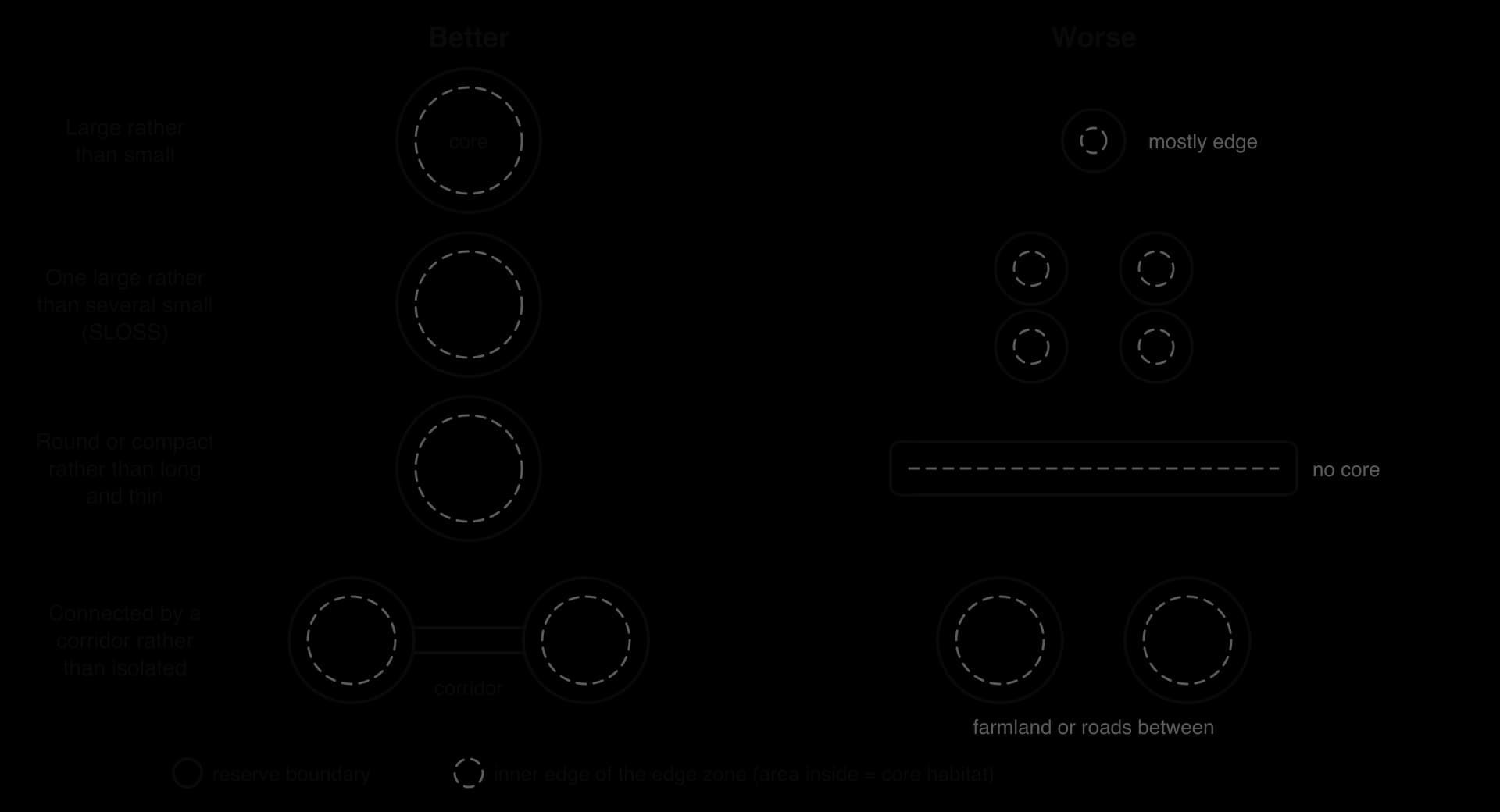 Reserve design principles, better versus worse: large not small; one large not several small (SLOSS); round not long and thin; connected by a corridor not isolated. Each reserve shows its boundary and a dashed inner line marking the core habitat inside the edge zone.