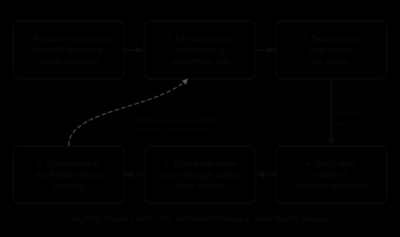 Flow diagram of six steps: problem recognised; UN conference negotiates a convention; text adopted and signed; each state ratifies (slowest step); entry into force once enough states ratify; Conference of the Parties meets, adding protocols and amendments.