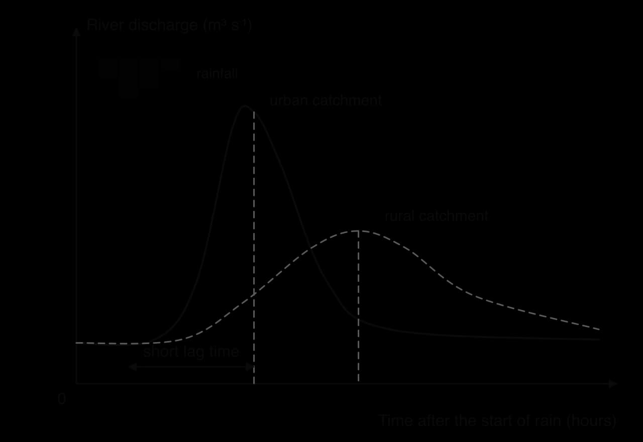 Storm hydrograph after the same rainfall: the urban catchment's discharge rises quickly to a high, early peak and falls fast (short lag time); the rural catchment rises slowly to a lower, later peak.