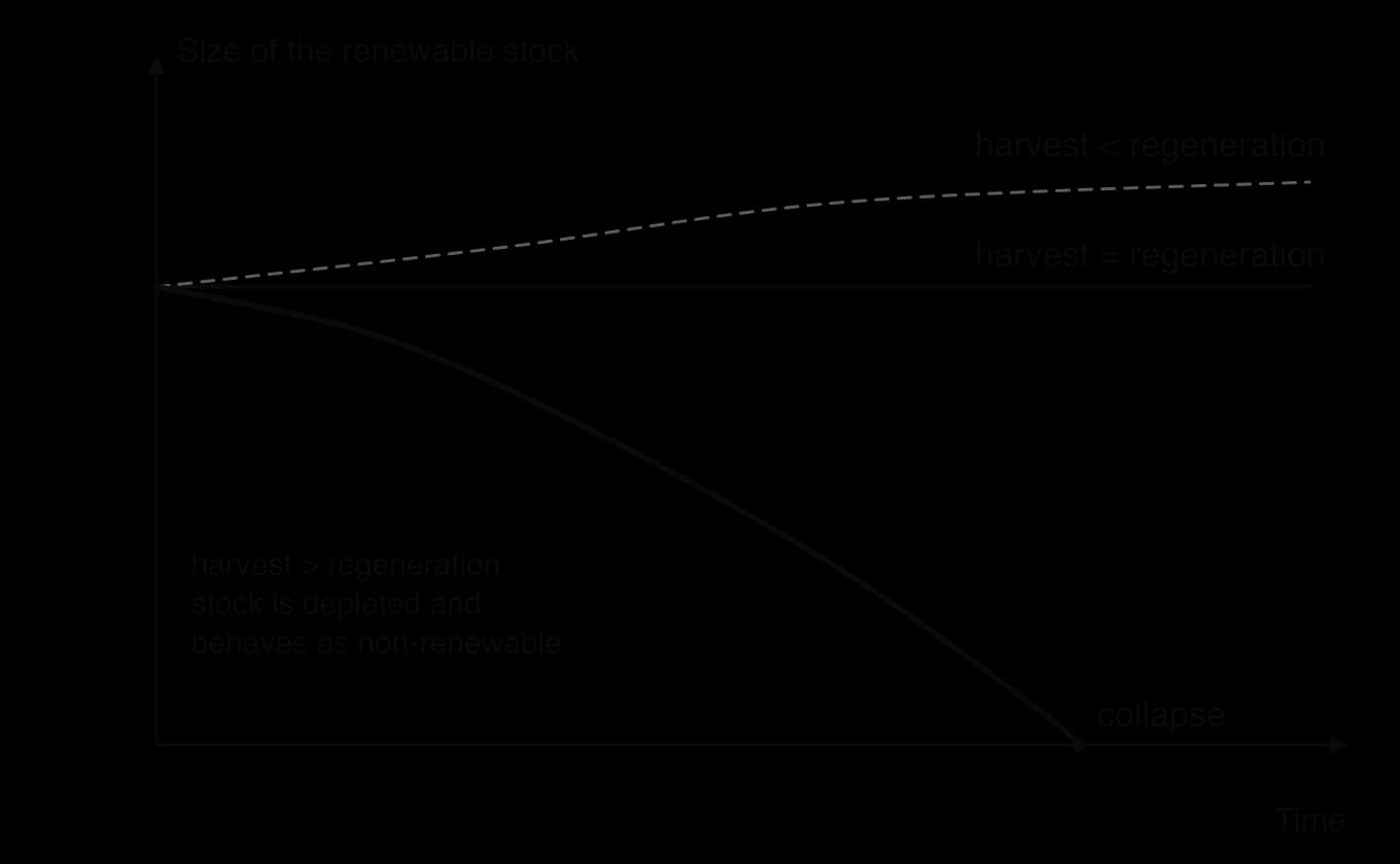 Model graph of renewable stock size against time: harvest below regeneration lets the stock grow, harvest equal to regeneration keeps it constant, harvest above regeneration runs it down to collapse.