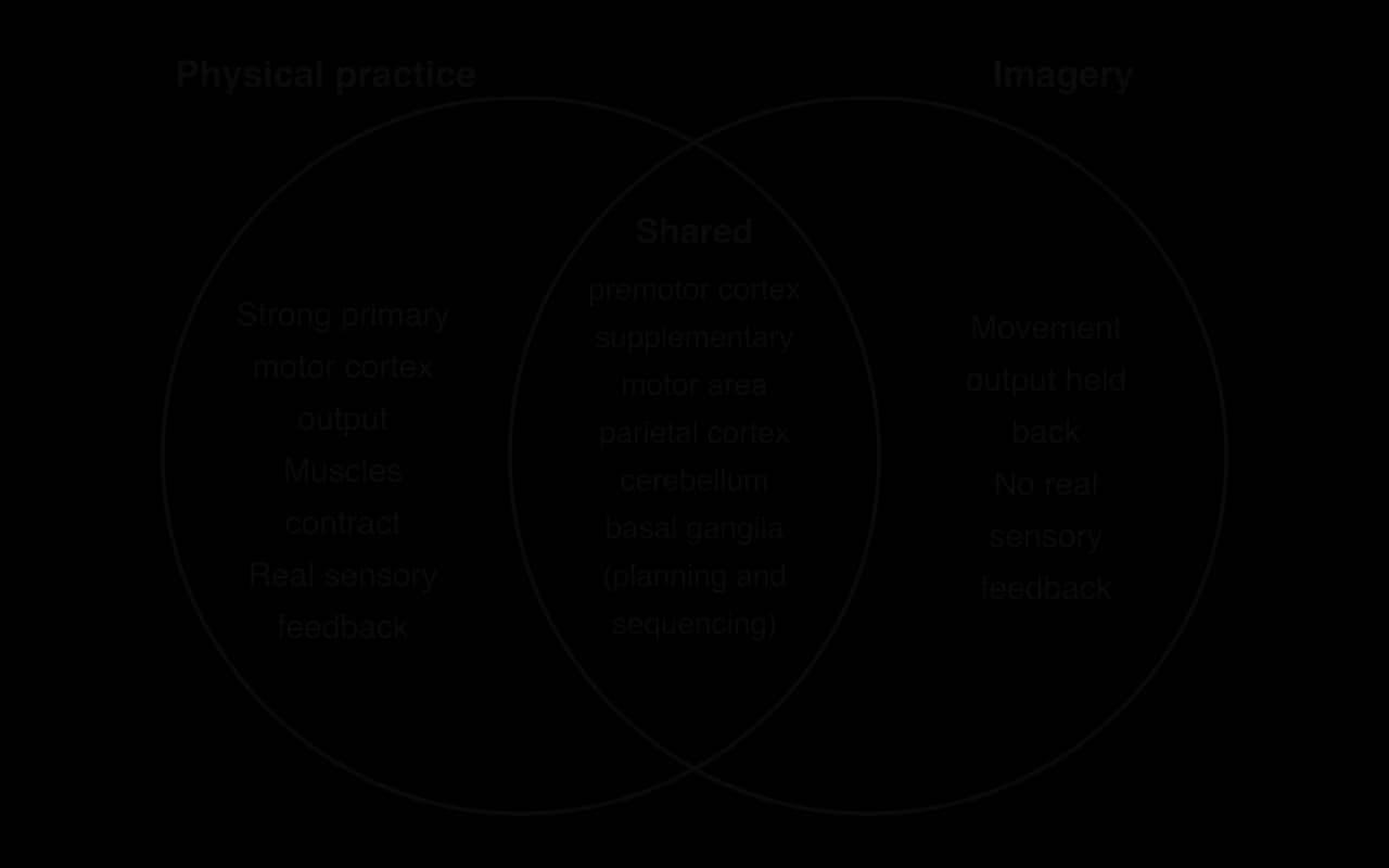 Venn diagram. Physical practice only: strong primary motor cortex output, muscles contract, real sensory feedback. Imagery only: movement output held back, no real sensory feedback. Shared: premotor cortex, supplementary motor area, parietal cortex, cerebellum, basal ganglia.