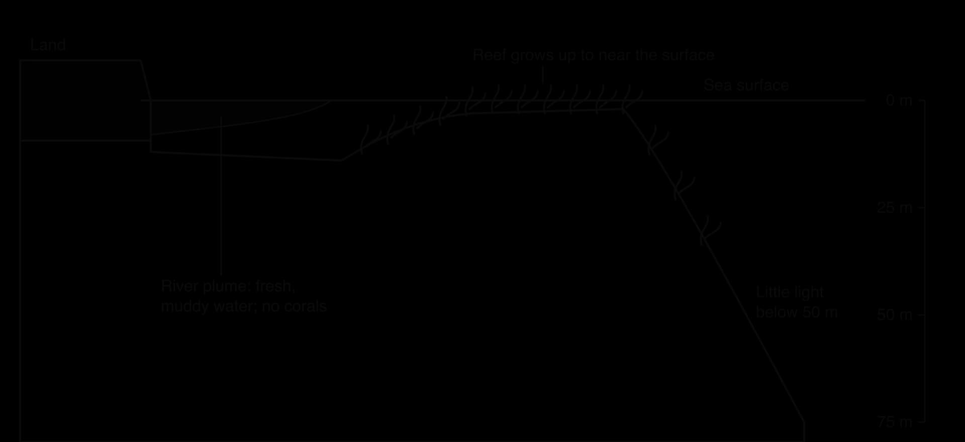 Section from the coast out to sea. Near land, a plume of fresh, muddy river water lies over bare seabed with no corals. Further out a reef rises to just below the surface, with corals on its top and upper slope, then drops into deep water. Depth scale 0–75 m; little light below 50 m.