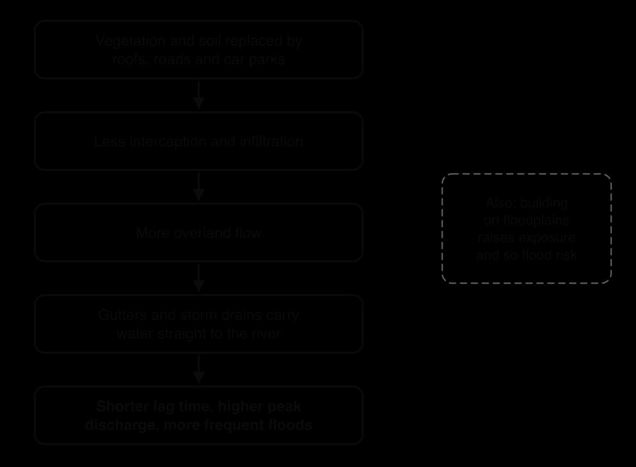 Flow chart: vegetation and soil replaced by roofs and roads, less interception and infiltration, more overland flow, drains carry water to the river, shorter lag time, higher peaks and more frequent floods; building on floodplains also raises exposure.