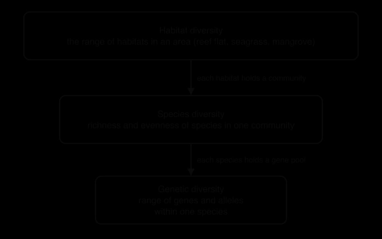 Three nested levels of biodiversity: habitat diversity (the range of habitats in an area, such as reef flat, seagrass and mangrove), species diversity (richness and evenness in one community) and genetic diversity (the range of genes and alleles within one species).