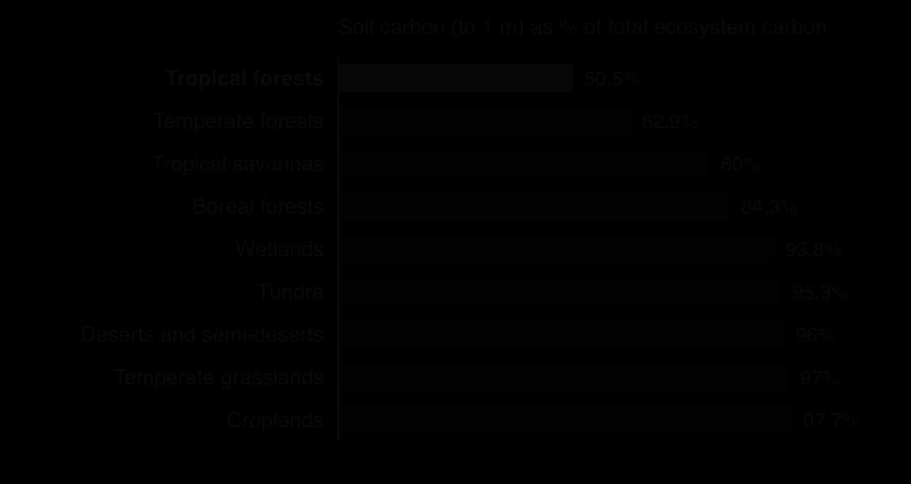 Bar chart of soil carbon as a share of ecosystem carbon to 1 m: tropical forests 50.5%, temperate forests 62.9%, tropical savannas 80%, boreal forests 84.3%, wetlands 93.8%, tundra 95.3%, deserts 96%, temperate grasslands 97%, croplands 97.7%.