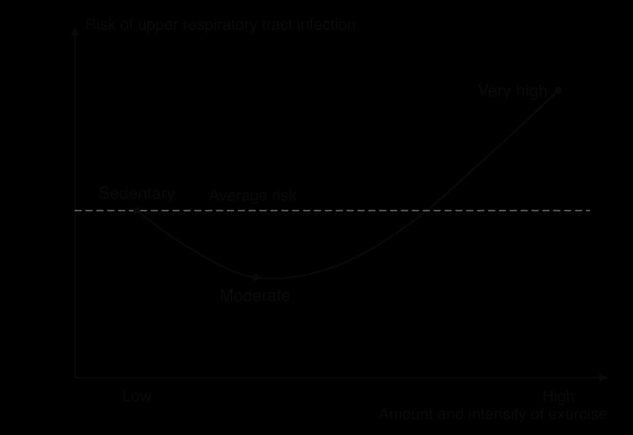 Sketch of the J-shaped curve: risk of upper respiratory tract infection is average for sedentary people, lowest with regular moderate exercise and rises above average with very high amounts of intense exercise.