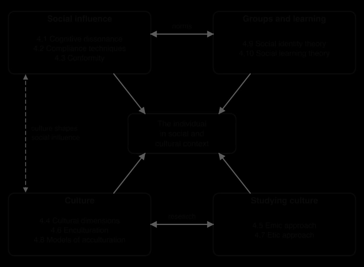 Concept map: four groups of subtopics around 'the individual in social and cultural context': social influence (4.1–4.3), groups and learning (4.9, 4.10), culture (4.4, 4.6, 4.8) and studying culture (4.5, 4.7), linked by norms, research and cultural shaping.