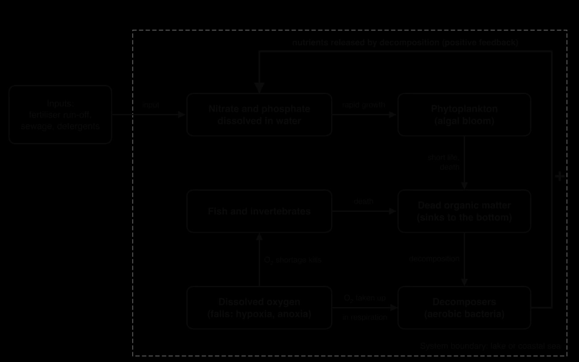Systems diagram of eutrophication in a lake: nutrient inputs to nitrate and phosphate, algal bloom, dead organic matter, decomposers taking up dissolved oxygen; low oxygen kills fish, adding dead matter. A bold + loop returns nutrients from decomposition to the water.