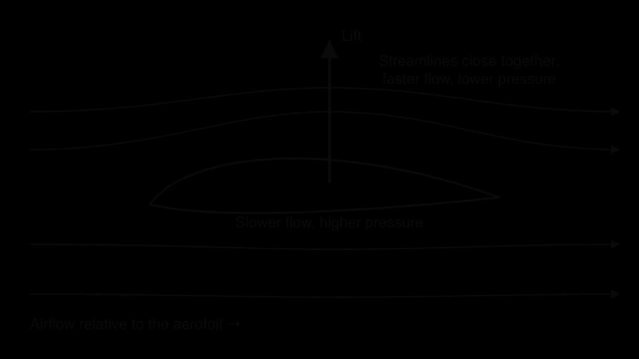 An aerofoil in airflow. Streamlines above it are close together (faster flow, lower pressure); below they are further apart (slower flow, higher pressure). A lift arrow points upwards.