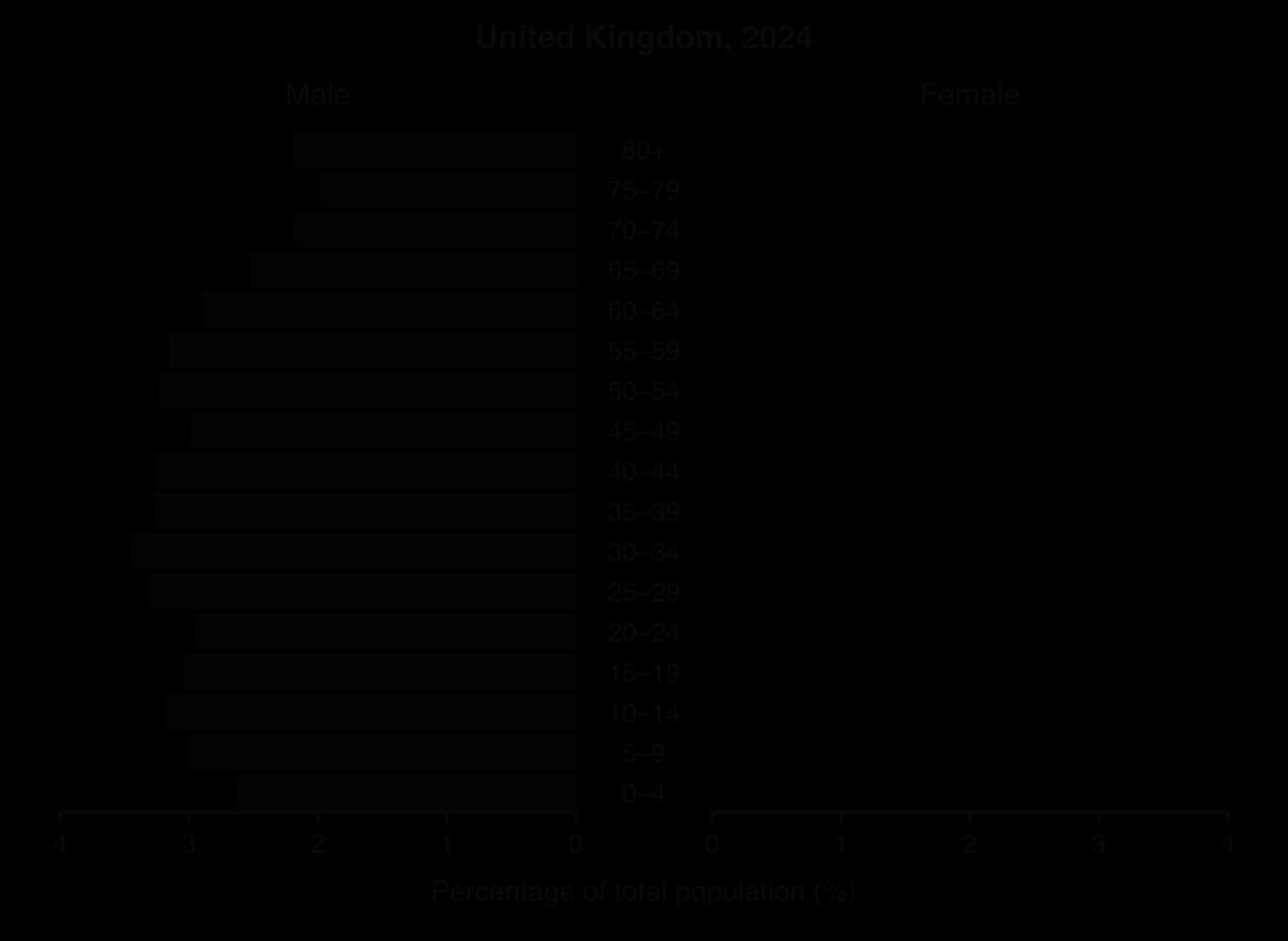 Population pyramid of the United Kingdom, 2024: nearly vertical sides between 2.5% and 3.5% per five-year group for each sex up to age 64, then narrowing; women aged 80+ 3.1%.