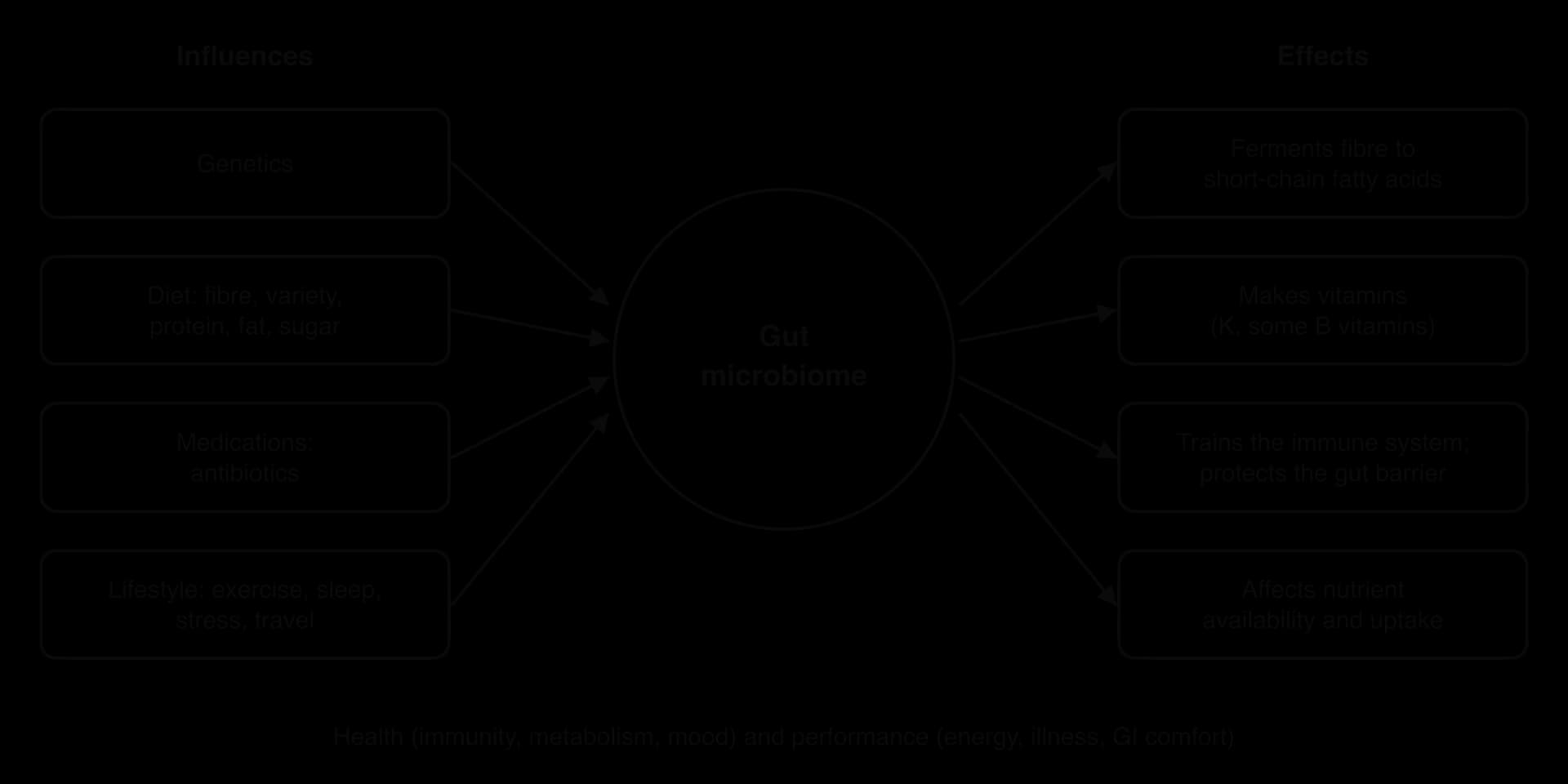 Influences (genetics; diet; medications such as antibiotics; lifestyle: exercise, sleep, stress, travel) point to the gut microbiome, which ferments fibre to short-chain fatty acids, makes vitamins, trains the immune system and affects nutrient availability and uptake.
