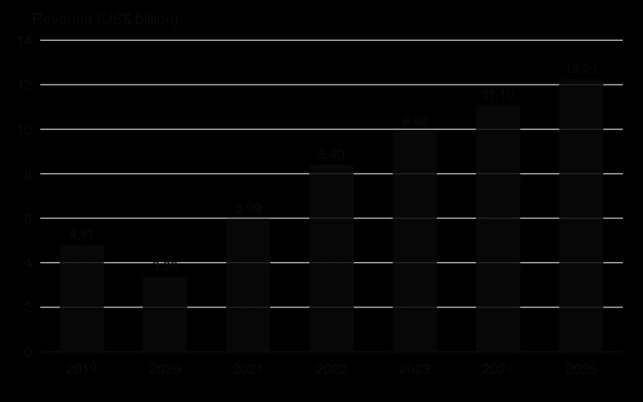 Column chart of Airbnb revenue in US dollars billion: 2019 4.81, 2020 3.38, 2021 5.99, 2022 8.40, 2023 9.92, 2024 11.10, 2025 12.24.