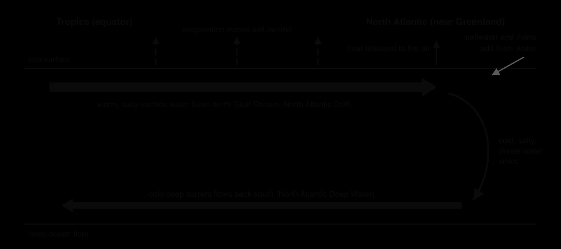 Cross-section from the tropics to the North Atlantic: warm salty surface water flows north, evaporation adds salt, heat is lost to the air, cold dense water sinks and returns south as deep water. Meltwater adds fresh water.