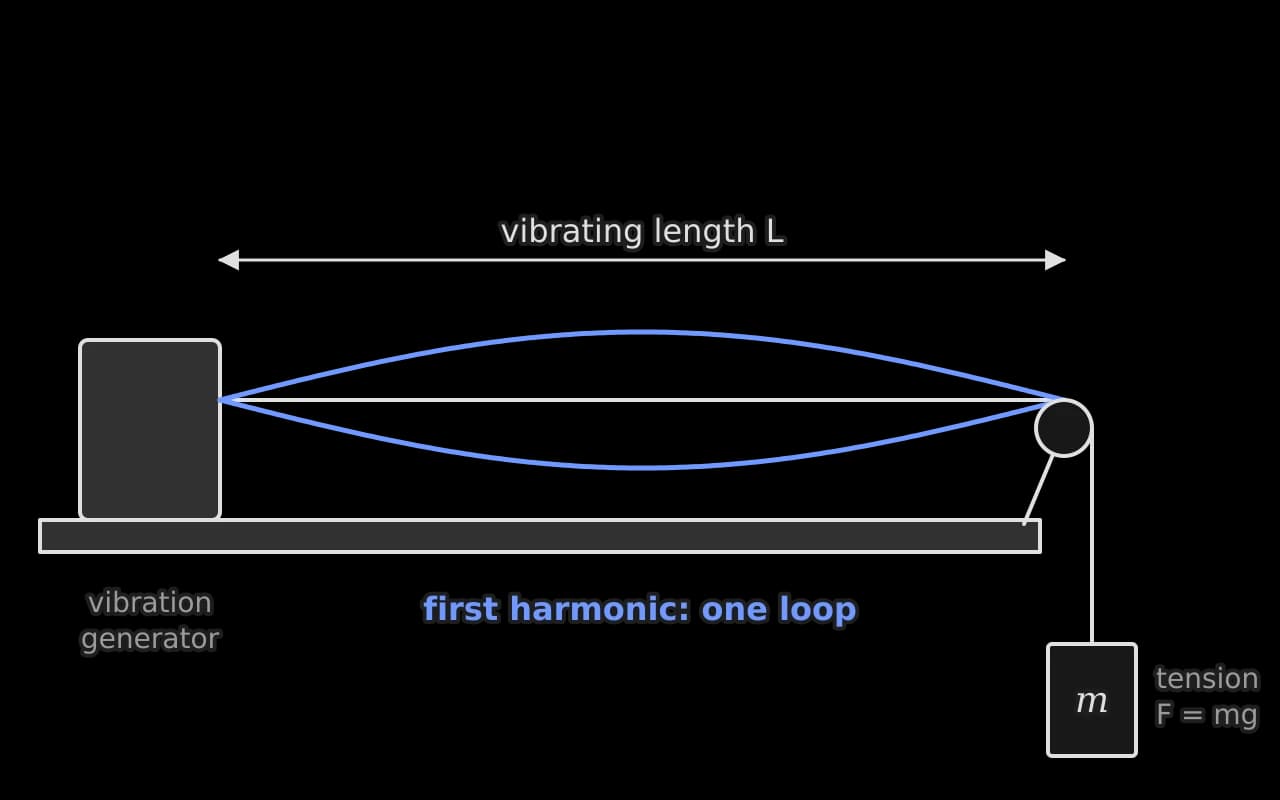 A string runs horizontally from a vibration generator on the left over a pulley on the right, where a hanging mass m pulls it taut with tension F = mg. The vibrating length L runs from the generator to the pulley. The string vibrates in one loop, drawn in blue.