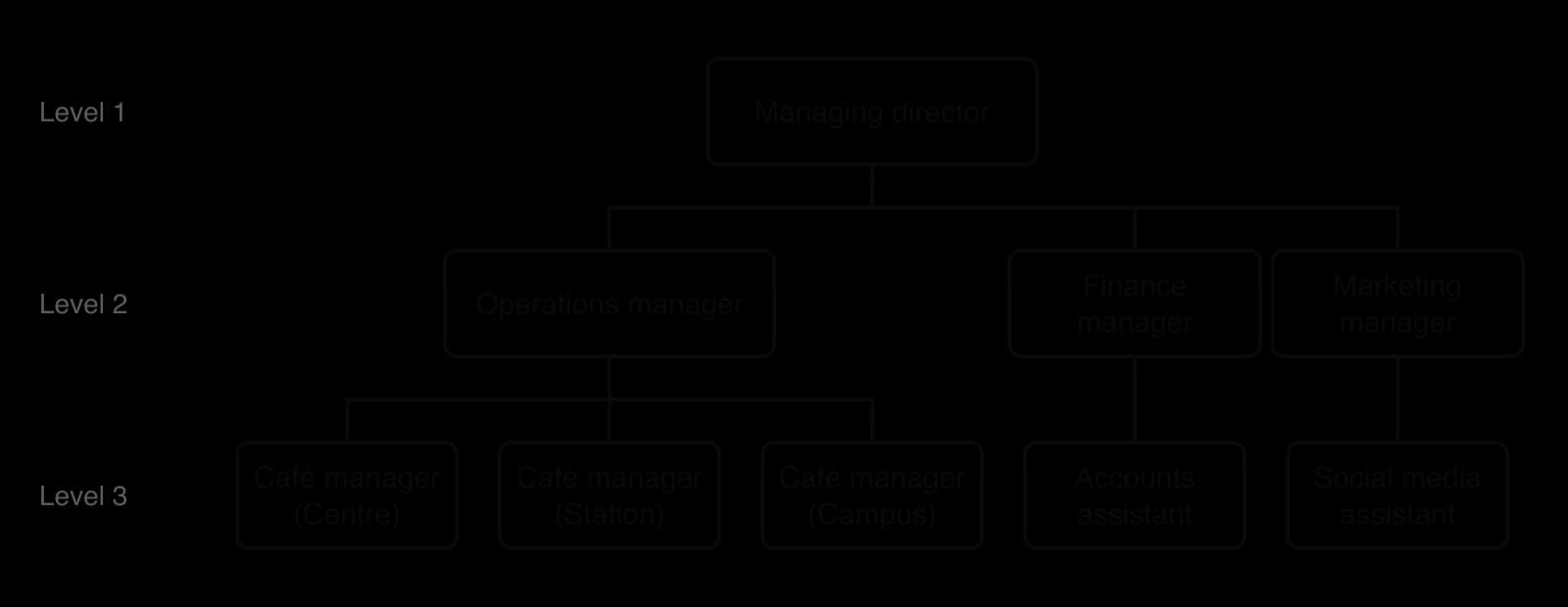 Organisation chart of a café group: a managing director above operations, finance and marketing managers; three café managers under operations, an accounts assistant under finance and a social media assistant under marketing; three levels.