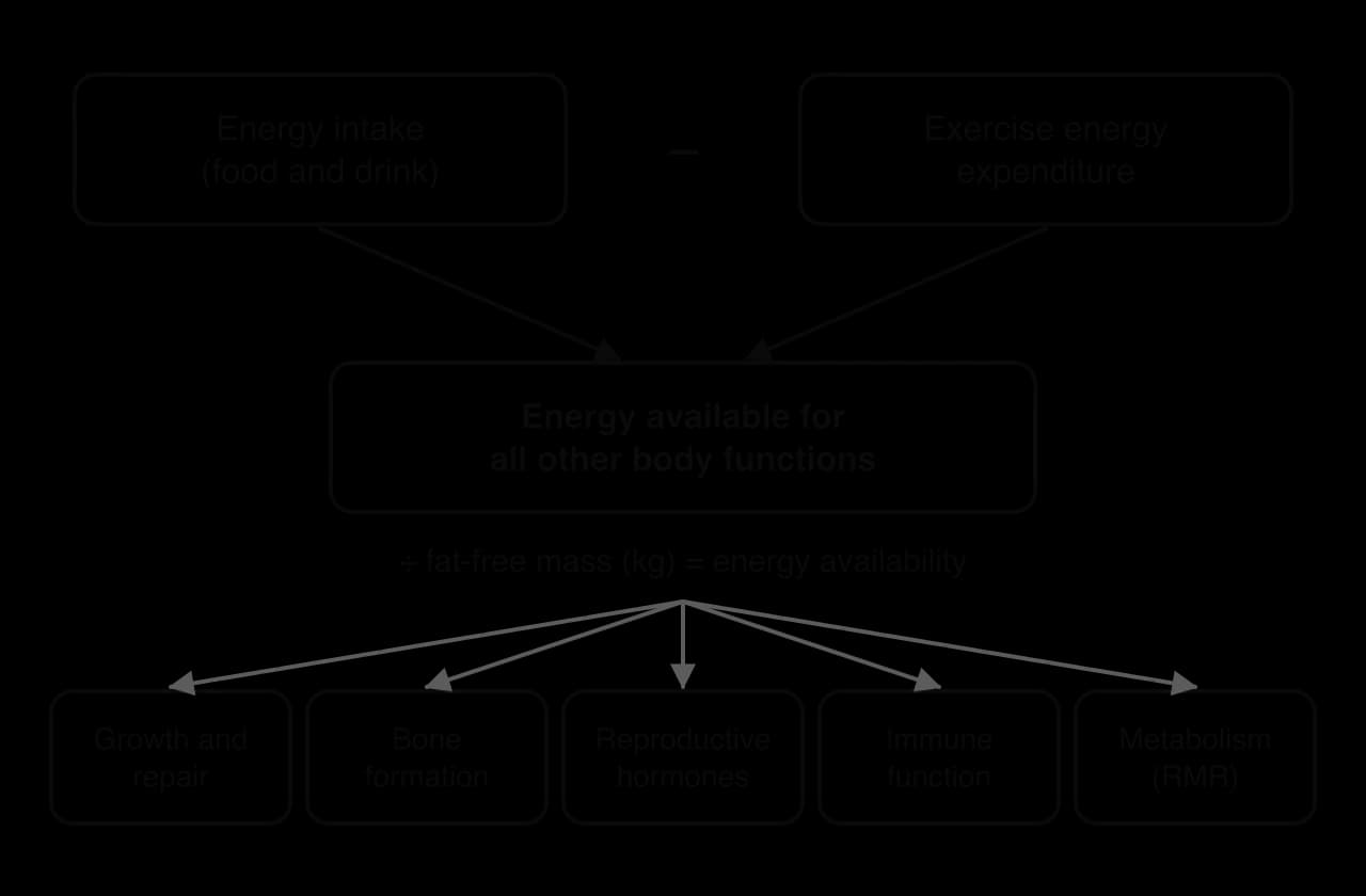 Flow diagram: energy intake minus exercise energy expenditure gives energy available for other body functions; divided by fat-free mass this is energy availability. Arrows lead to growth and repair, bone formation, reproductive hormones, immune function and metabolism.