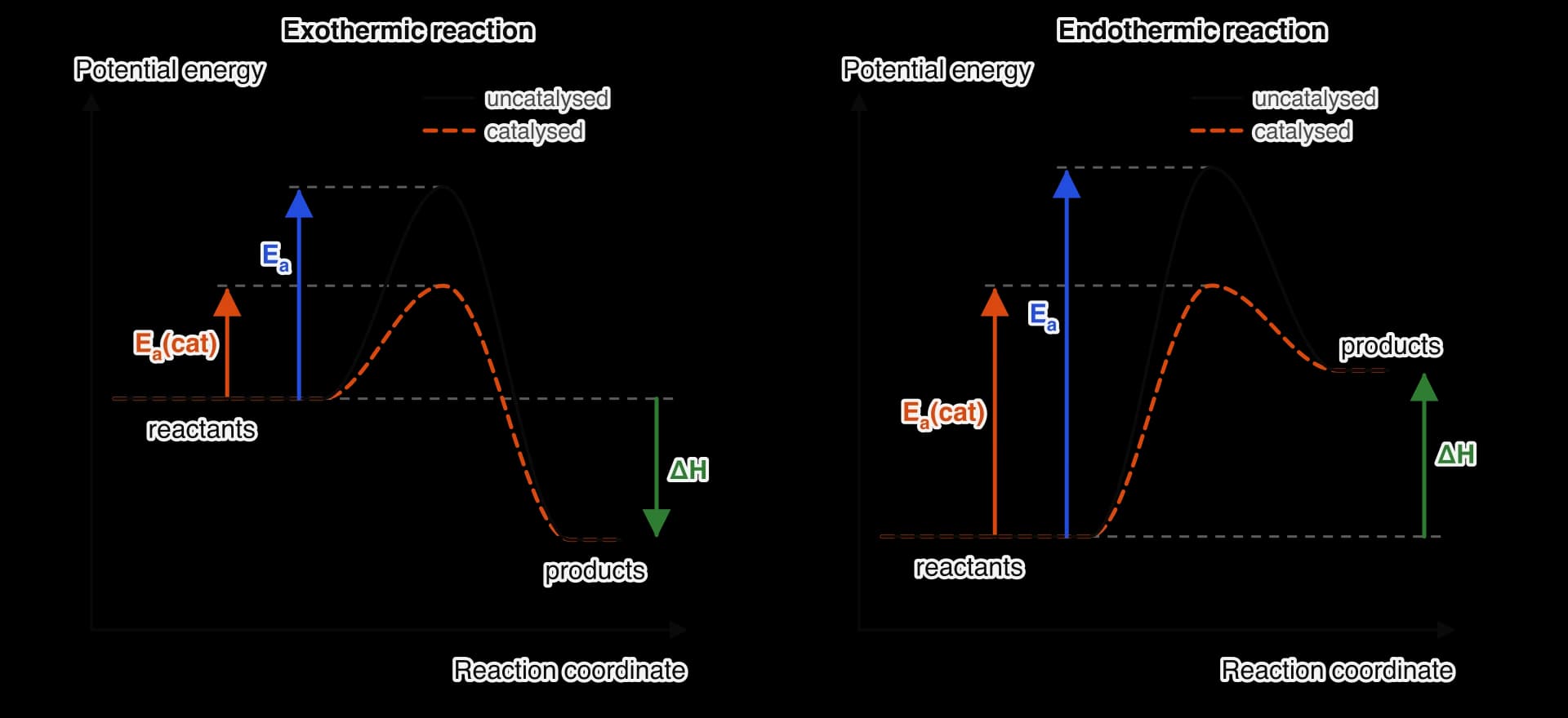 Two energy profiles, exothermic (left) and endothermic (right). Each shows a solid uncatalysed curve with a blue Ea arrow and a lower dashed orange catalysed curve with a smaller Ea(cat) arrow. Reactant and product levels are the same for both paths, so the green ΔH arrow is unchanged.
