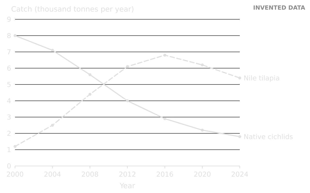 Line graph of invented catches, 2000–2024, thousand tonnes per year. Native cichlids fall steadily from 8.0 to 1.8. Nile tilapia rise from 1.2 to a peak of 6.8 in 2016, then fall to 5.4 in 2024.