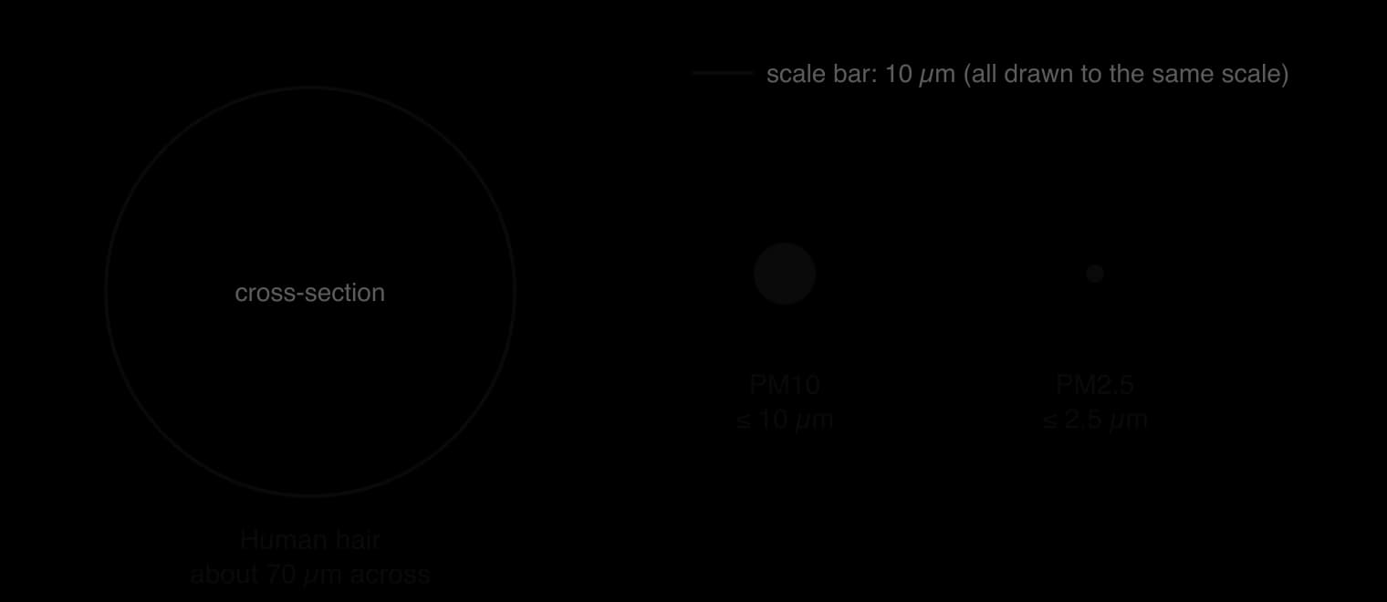 Circles drawn to the same scale: a human hair in cross-section about 70 micrometres across, a PM10 particle 10 micrometres across and a much smaller PM2.5 particle 2.5 micrometres across, with a 10 micrometre scale bar.