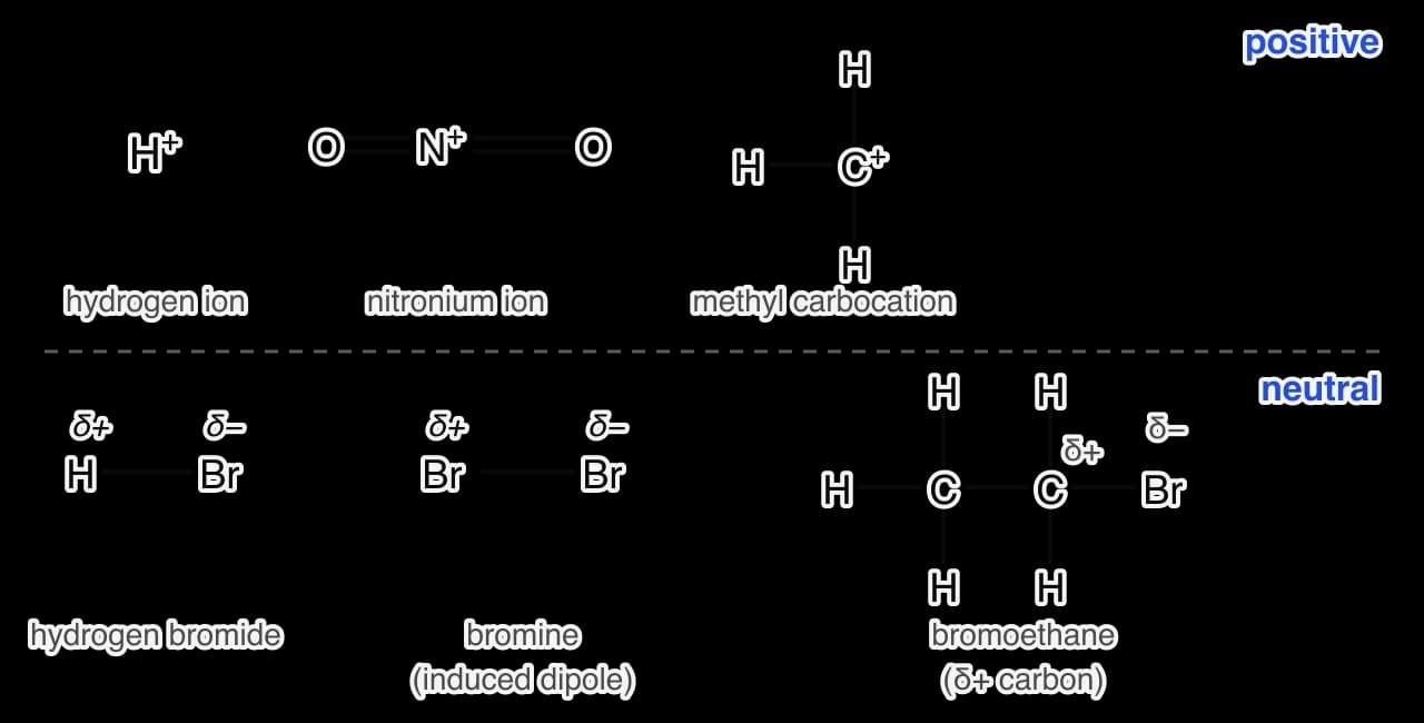 Electrophiles. Positive: H+, the nitronium ion O=N+=O and the methyl carbocation CH3+. Neutral: H–Br with H δ+ and Br δ−; Br–Br with an induced dipole, δ+ on one atom and δ− on the other; bromoethane, CH3CH2Br, with δ+ on the carbon bonded to Br and δ− on Br.