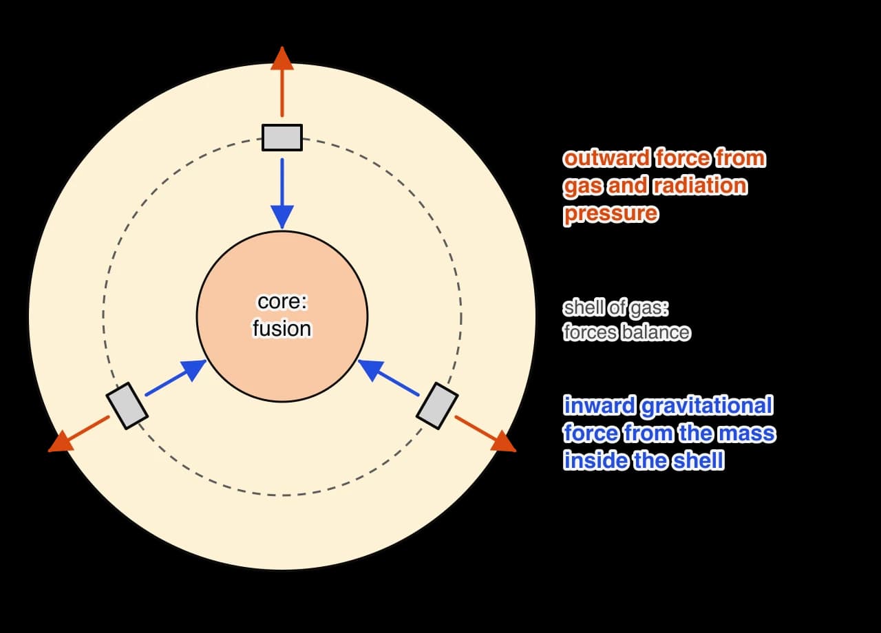 Cross-section of a star with a fusion core at the centre and a dashed shell of gas part way out. On three small pieces of the shell, an orange arrow points outwards (force from gas and radiation pressure) and an equal blue arrow points inwards (gravitational force from the mass inside the shell).