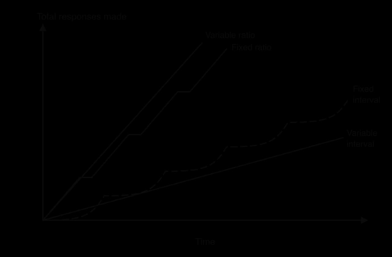Illustrative cumulative response records over time: variable ratio is steepest and steady; fixed ratio is steep with short pauses after each reinforcer; fixed interval is scalloped, slow after reinforcement then speeding up; variable interval is moderate and steady.