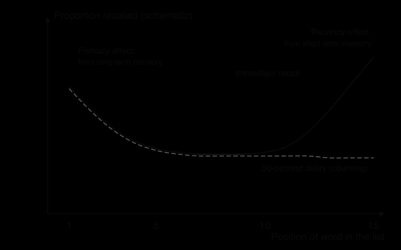 Schematic serial position curves. Immediate recall is high for the first and last words of a 15-word list and low in the middle. After a 30-second counting delay the early words are recalled as well as before but the high recall of the last words disappears.