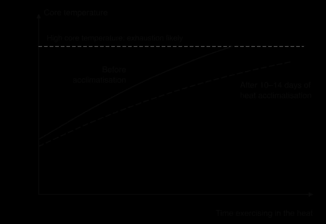 Sketch of core temperature against time exercising in the heat. Before acclimatisation the curve starts higher and rises steeply to a dashed line marking high core temperature where exhaustion is likely. After 10–14 days it starts lower, rises more slowly and stays below the line.