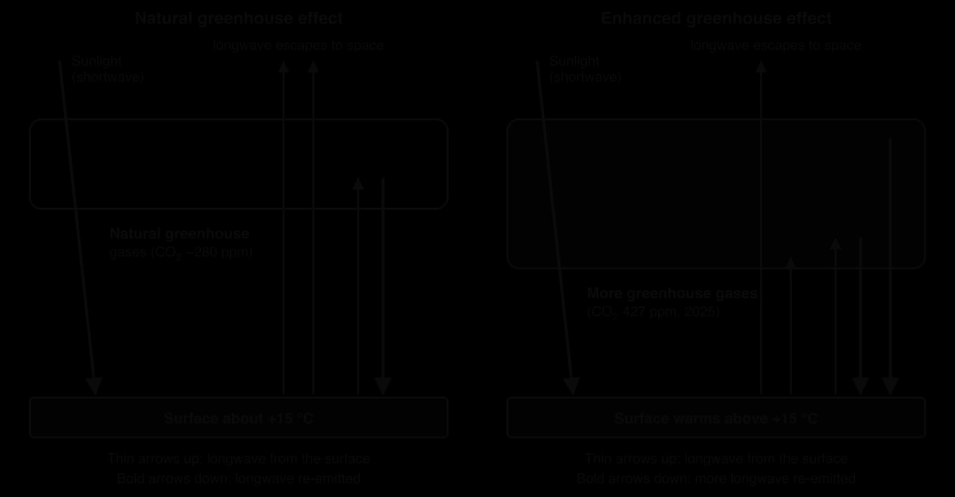 Two panels. Natural greenhouse effect (CO₂ about 280 ppm): two longwave arrows escape, one re-emitted downward, surface about 15 °C. Enhanced (CO₂ 427 ppm, 2025): one arrow escapes, two re-emitted downward, surface warmer.