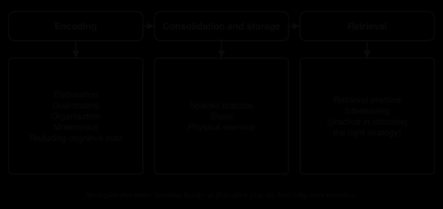 Strategies grouped by memory stage: encoding (elaboration, dual coding, organisation, mnemonics, reducing cognitive load); consolidation and storage (spaced practice, sleep, physical exercise); retrieval (retrieval practice, interleaving).