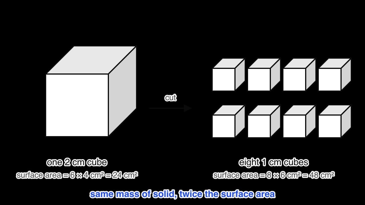 Left: a single cube of side 2 cm with surface area 24 cm2. An arrow labelled cut leads to the right, where the same solid has been cut into eight separate cubes of side 1 cm; their total surface area is 48 cm2, twice the original, for the same mass of solid.