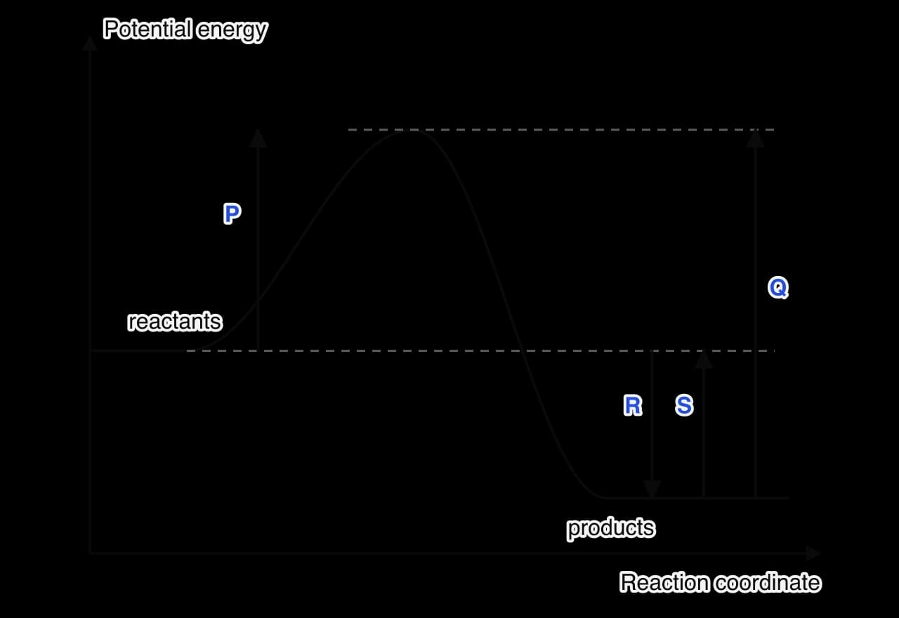 Energy profile of an exothermic reaction: potential energy against reaction coordinate. Arrow P rises from the reactant level to the peak, Q rises from the product level to the peak, R points down from the reactant level to the product level and S points up from the product level to the reactant…