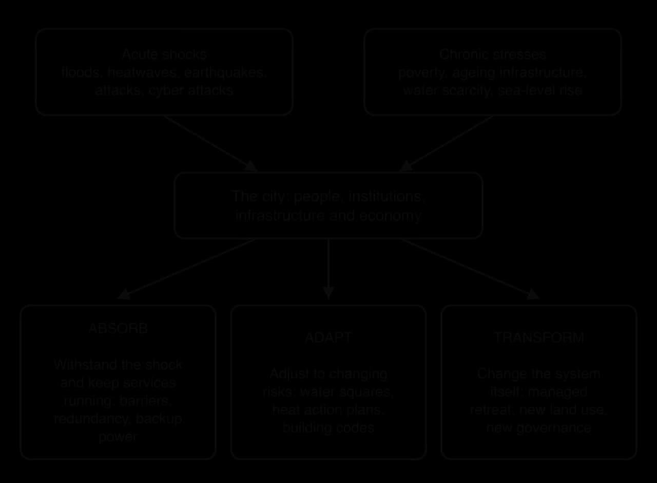 Diagram: acute shocks (floods, heatwaves, earthquakes, attacks) and chronic stresses (poverty, ageing infrastructure, water scarcity, sea-level rise) act on the city; resilience means the capacity to absorb, adapt and transform, with examples of each.